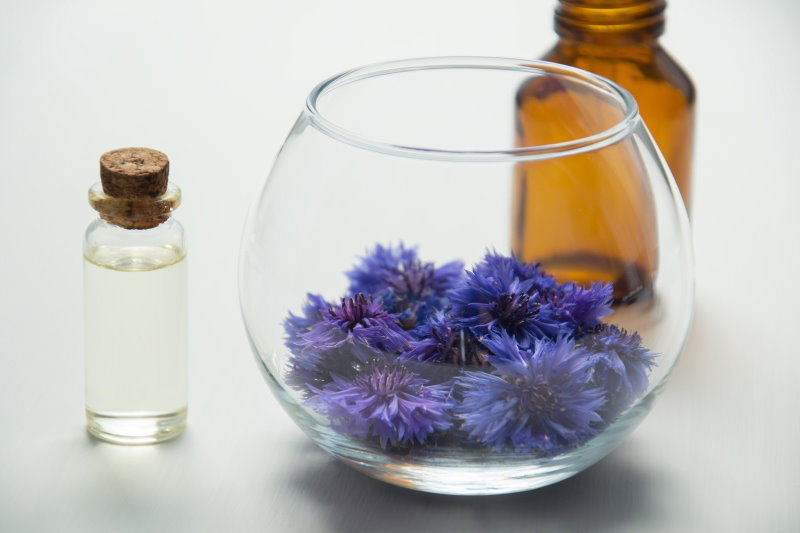 Gesichtsbehandlungen für Regeneration auf Basis von Naturprodukten